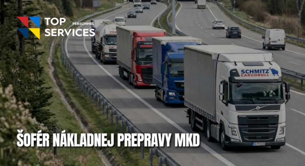Šofér nákladnej prepravy ( MKD )